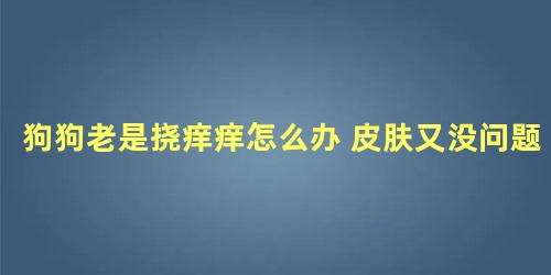 狗狗老是挠痒痒怎么办 皮肤又没问题